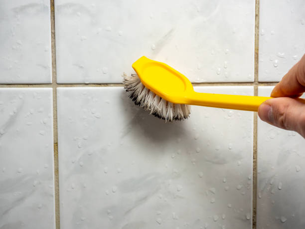 Best Localized Mold Remediation (e.g., coastal areas, humid climates) in Bridgeport, IL